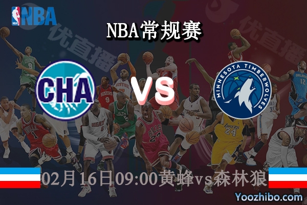 02月16日 NBA常规赛 黄蜂vs森林狼直播前瞻分析