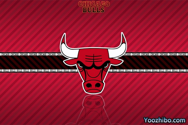 <a href=/lanqiush/bulls/ target=_blank class=infotextkey>公牛</a>队