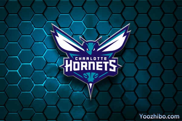 2019-2020赛季<a href=/lanqiush/hornets/ target=_blank class=infotextkey>黄蜂</a>队队徽